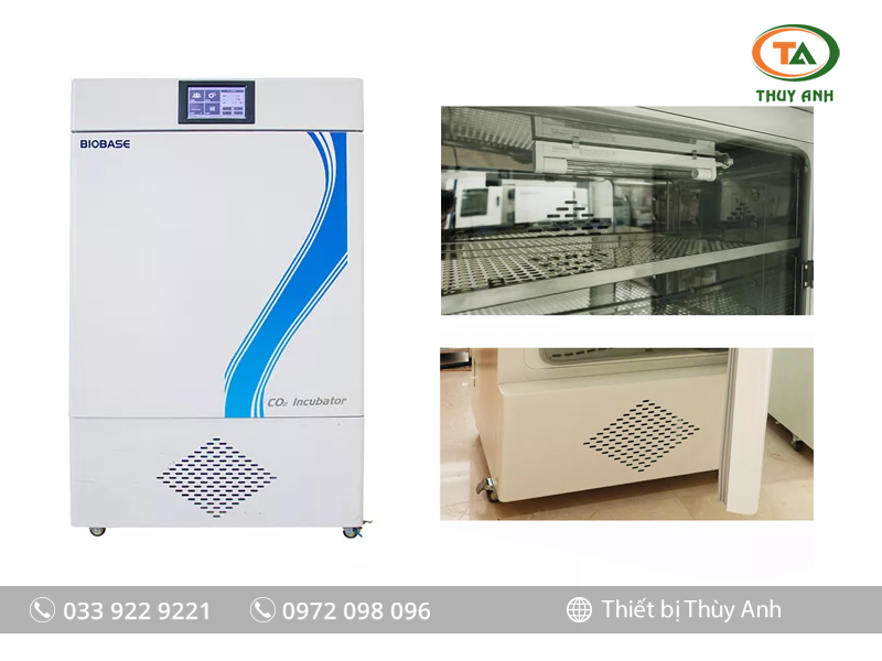 Tủ ấm lạnh CO2 BJPX-C160III BIOBASE (160 Lít, Màn hình LCD)