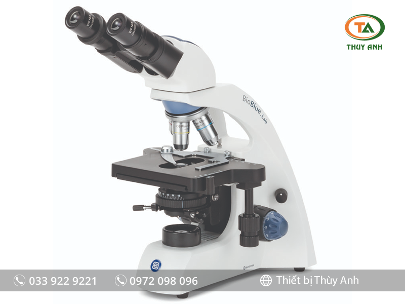 Kính hiển vi sinh học 2 mắt BB.1152-PLi EUROMEX (Vật kính IOS, 1000X)
