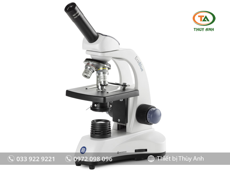 Kính hiển vi sinh học 1 mắt EC.1001 EUROMEX (EcoBlue, 40-400X)