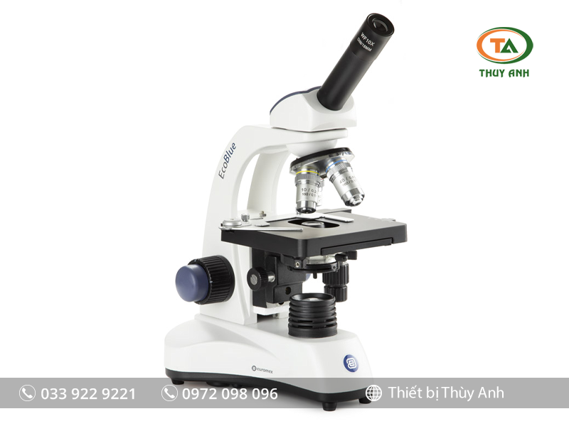 Kính hiển vi sinh học 1 mắt EC.1151 EUROMEX (40-1000X)