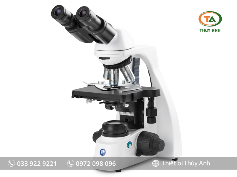 Kính hiển vi sinh học 2 mắt BS.1152-PLi EUROMEX (Đo trường sáng, 1000X)