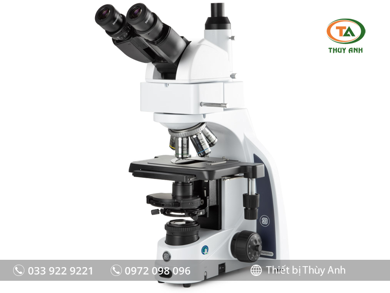 Kính hiển vi phản pha IS.1159-PLPHi EUROMEX (1000X)