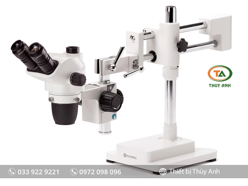 Kính hiển vi soi nổi NZ.1703-B EUROMEX (6,5X-55X)