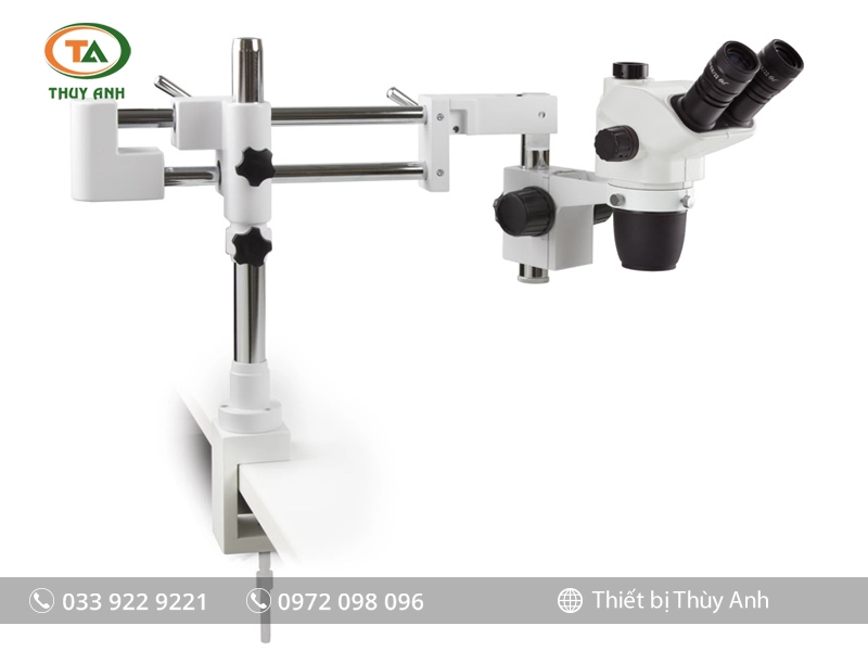 Kính hiển vi soi nổi NZ.1903-BC EUROMEX (6,7X-45X)
