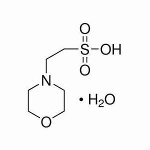 Hóa chất 2-Morpholinoethanesulfonic acid monohydrate buffer substance MES 250g Merck