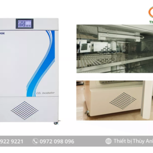 Tủ ấm lạnh CO2 BJPX-C160III BIOBASE (160 Lít, Màn hình LCD)
