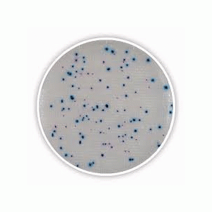 Hóa chất Coliform Agar acc. to ISO 9308-1 Chromocult® Merck 