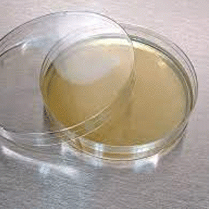 Hóa chất Nutrient agar acc. ISO 6579, ISO 10273 and ISO 21528 GranuCult™ Merck 