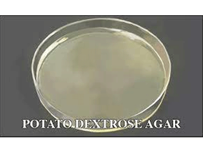 Potato-dextrose-agar