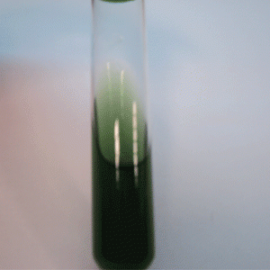  SIMMONS citrate agar for the identification of microorganisms 500g Merck
