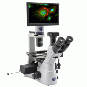 Kính hiển vi soi ngược huỳnh quang phản pha IM-3LD4D Optika - Italy