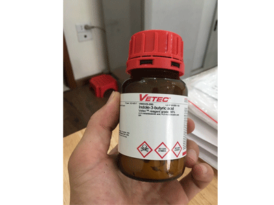 Indole-3-butyric acid