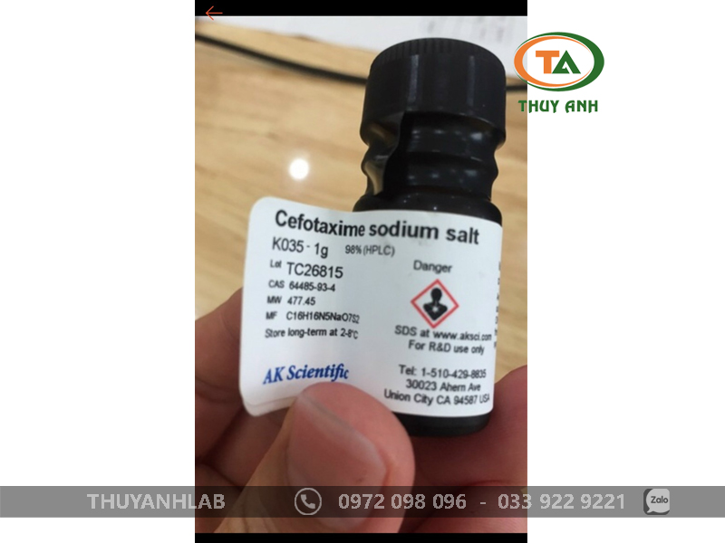 Cefotaxime-sodium-salt