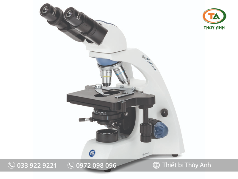 Kính hiển vi sinh học 2 mắt BB.1152-PL EUROMEX (1000X)