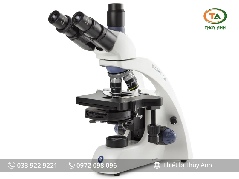 Kính hiển vi 3 mắt BB.1153-PLPHi EUROMEX (1000X)