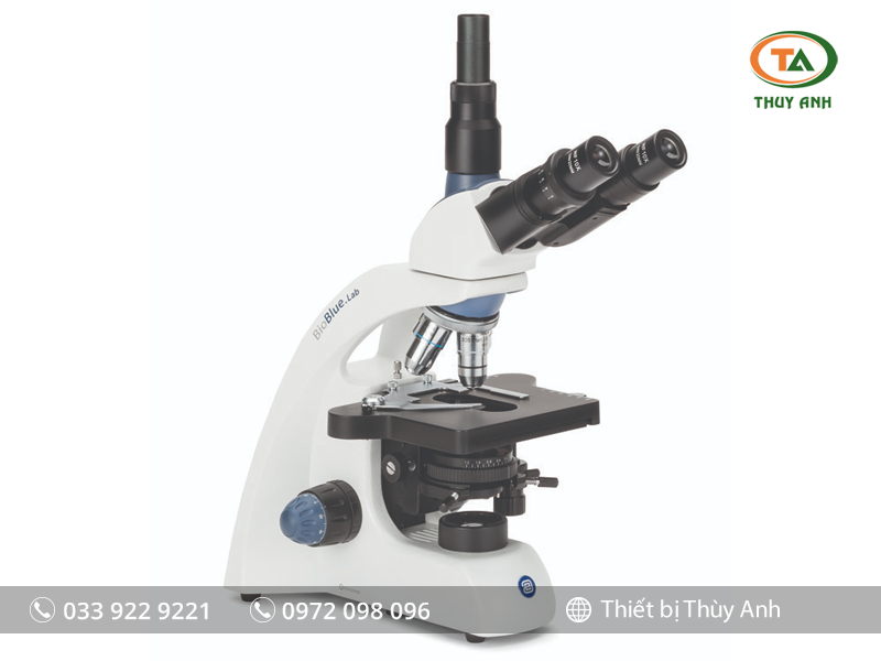 Kính hiển vi sinh học 3 mắt BB.1153-PLi EUROMEX (Vật kính IOS, 1000X)