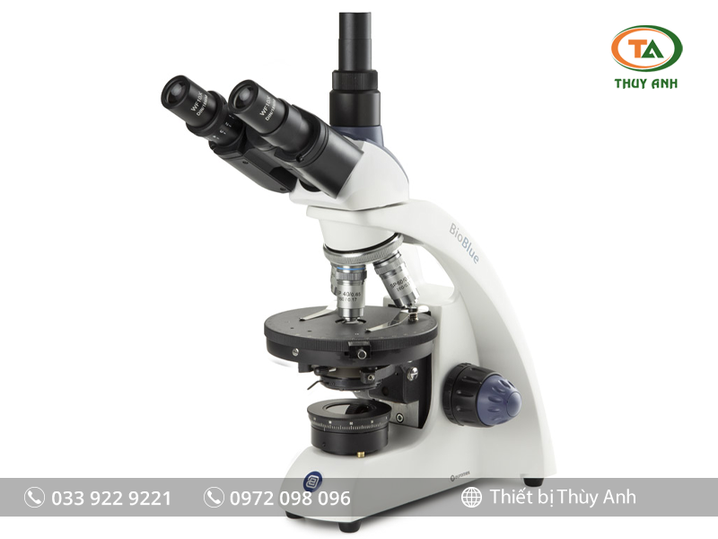 Kính hiển vi sinh học 3 mắt BB.4243-P-HLED EUROMEX (40-600X)