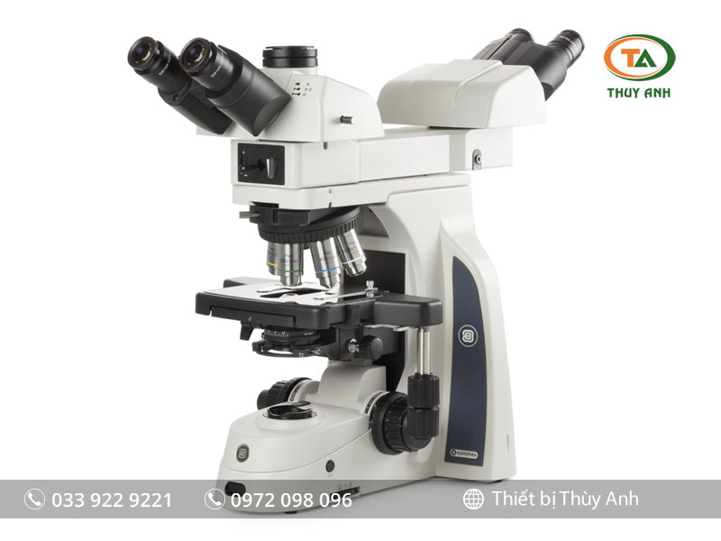 Kính hiển vi phản pha DX.1154-PLi EUROMEX (2 người quan sát , 40-1000X)