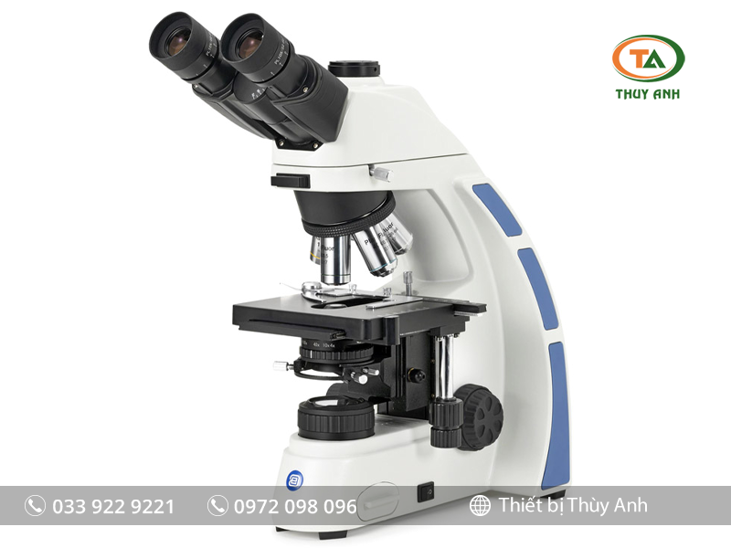 Kính hiển vi sinh học OX.3035 EUROMEX (kết nối camera, 1000X)
